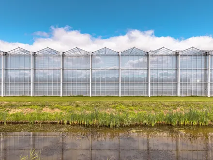 Data bij Wageningen Universiteit & Research (WUR)